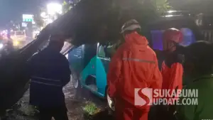 Petugas gabungan saat mengevakuasi pohon mahoni berukuran besar yang tumbang dan menimpa angkot jurusan Cisaat–Cibadak di depan RSUD Sekarwangi, Cibadak, Sukabumi, Kamis (20/11/2025) malam. (Sumber Foto: Istimewa)