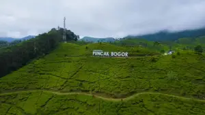 Kawasan Puncak Bogor, foto hanya ilustrasi. (Sumber Foto: Unsplash/Ammar Andiko)