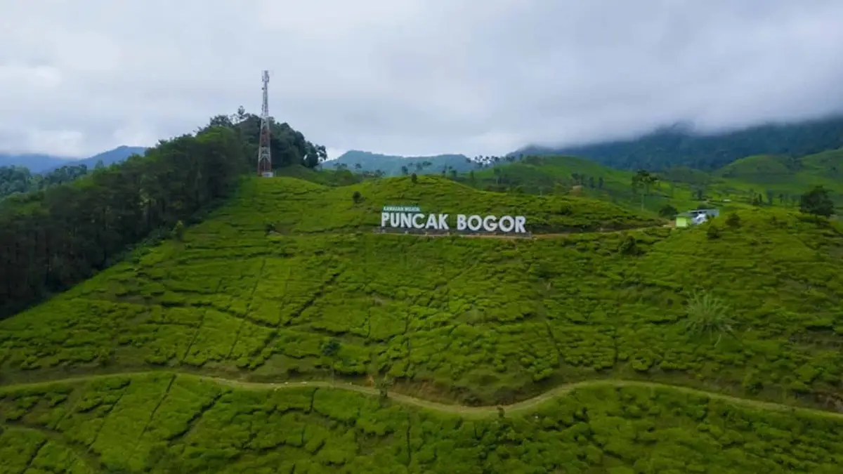 Mengapa Wisatawan Arab Saudi Gemar Liburan ke Puncak Bogor? Ini Penjelasannya