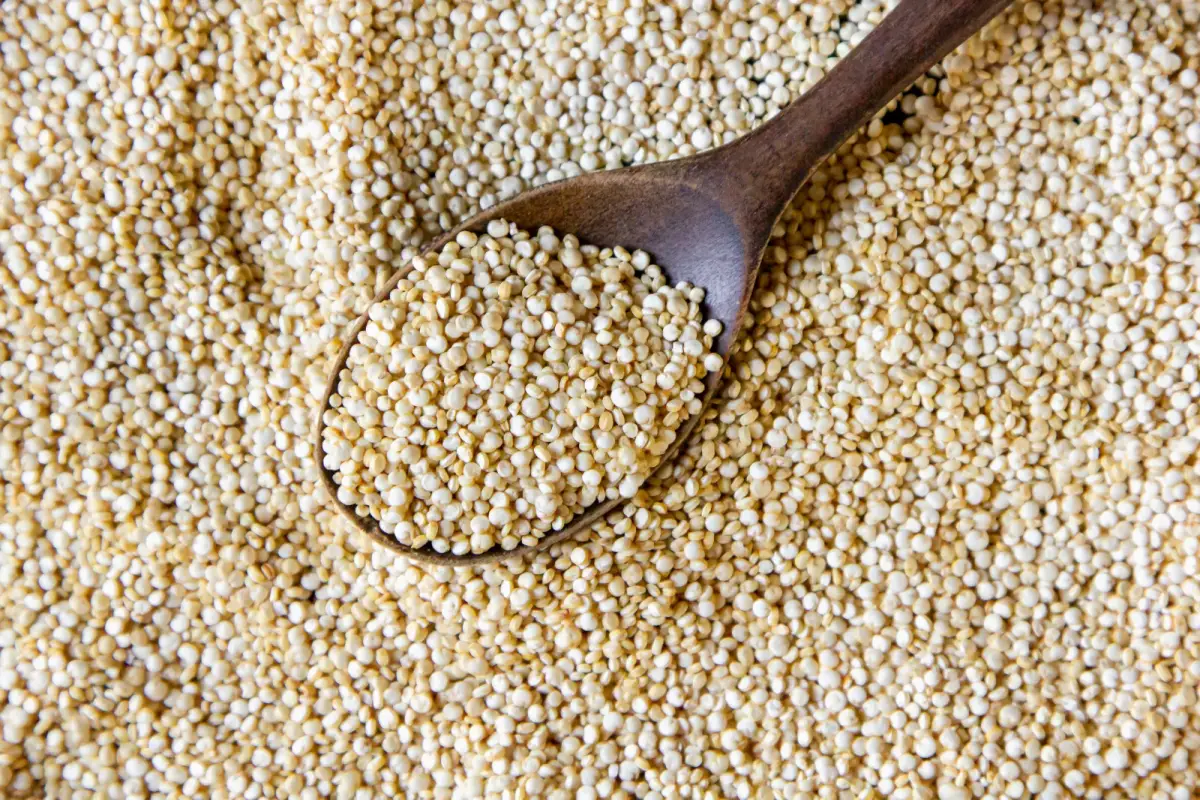 9 Manfaat Quinoa: Biji Ajaib yang Lebih Sehat dari Nasi