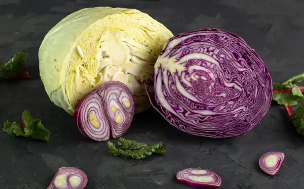 Sayur Kol putih dan ungu, manfaat sayur kol untuk kesehatan (Sumber : Freepik/@Mdjaff)