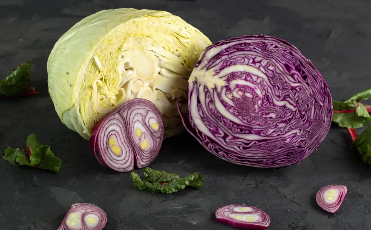 9 Manfaat Sayur Kol untuk Kesehatan: Dari Diet, Pencernaan, hingga Daya Tahan Tubuh