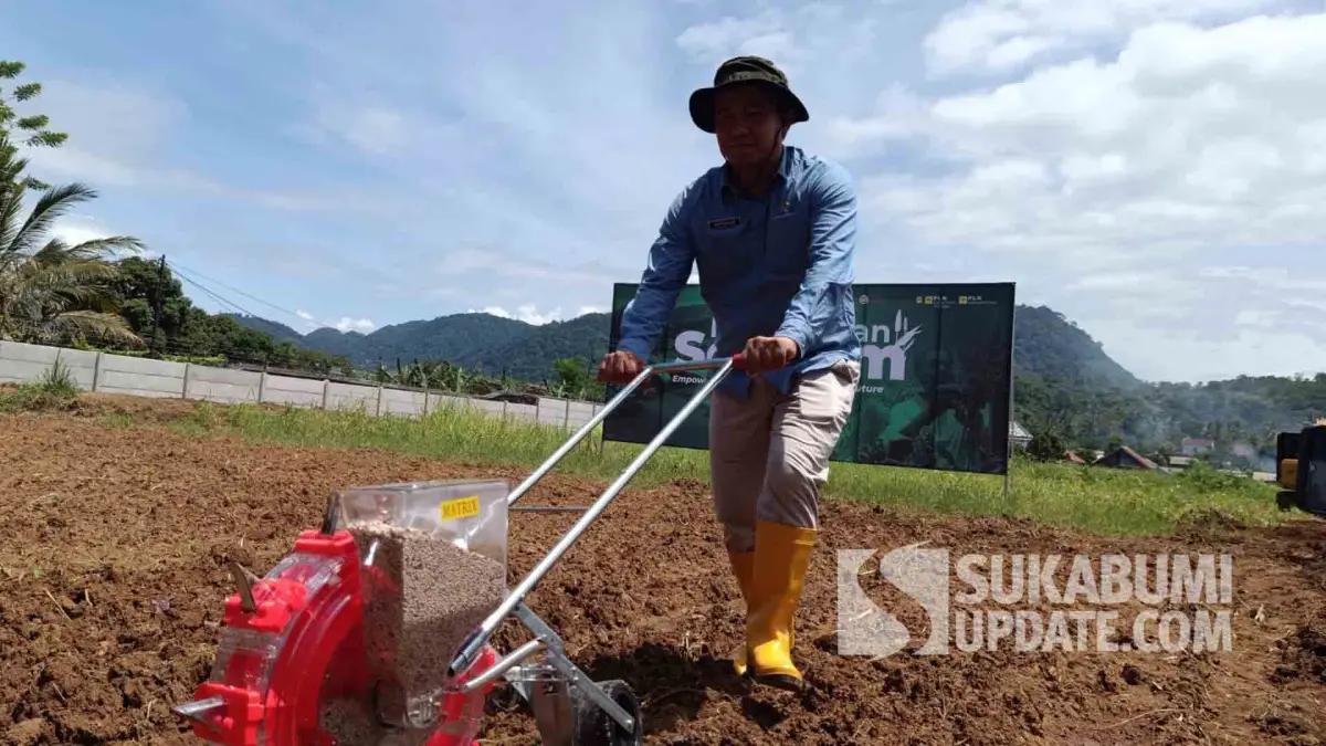 Distan Soroti Pengembangan Sorgum di Sukabumi: Potensi Besar, Tataniaga Belum Terbentuk