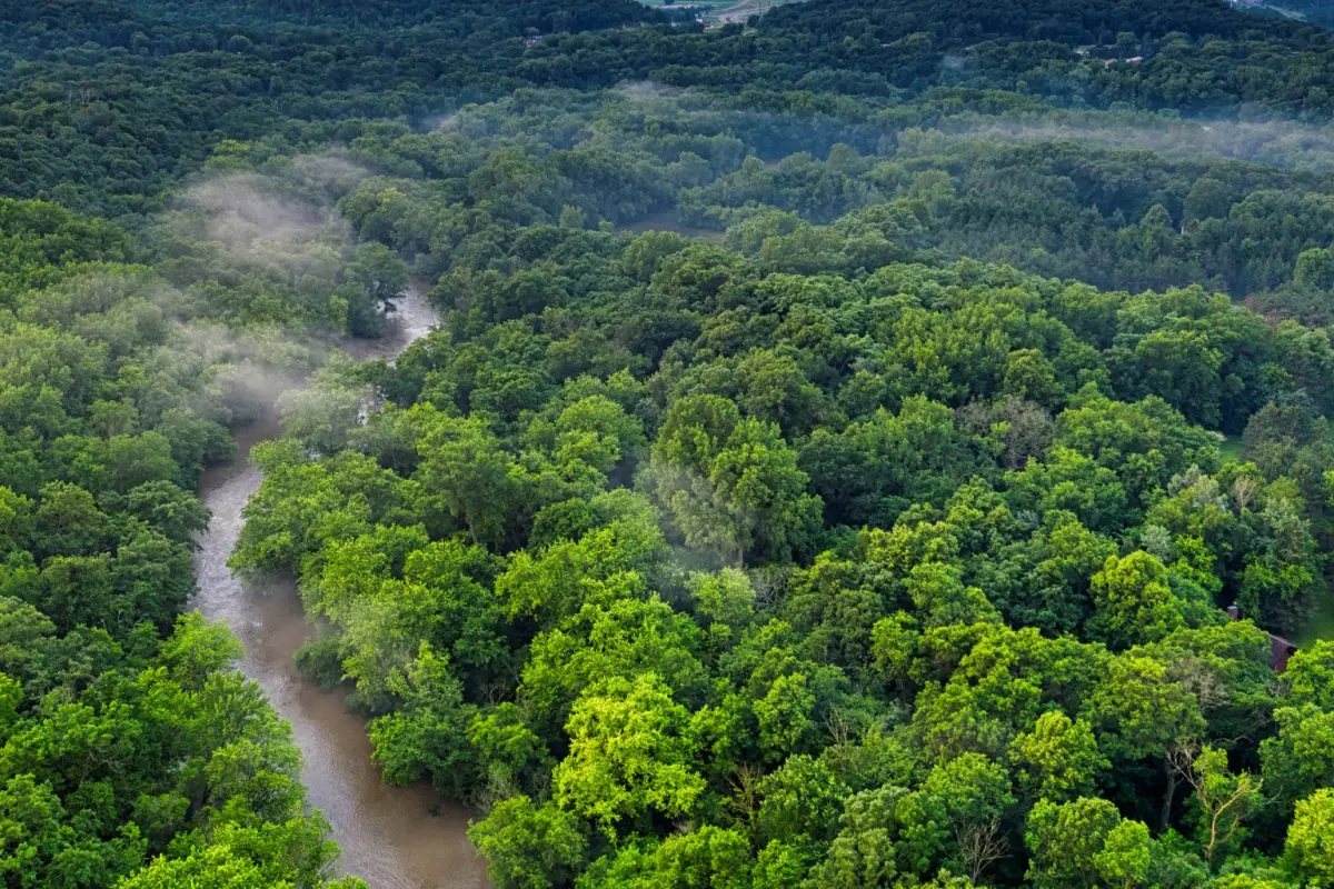 Keputusan tegas untuk membatalkan sertifikat ilegal ini merupakan langkah krusial dalam upaya penyelamatan TNTN.