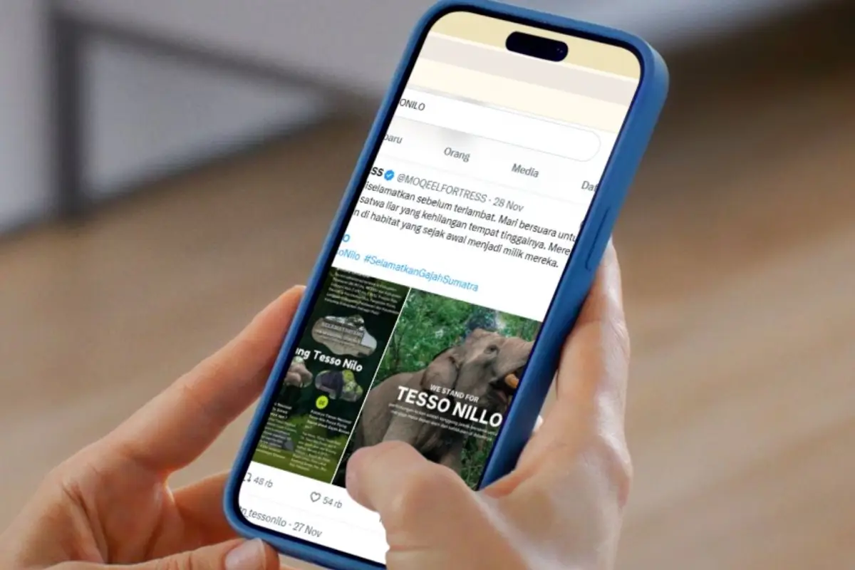 Tesso Nilo Sekarat! Sisa Hutan 15 Ribu Hektare, Gerakan Digital #SaveTessoNilo Banjir di X