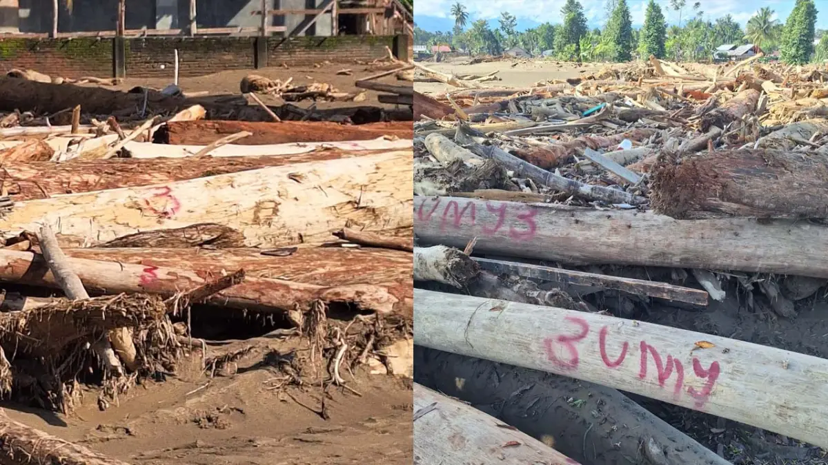 Menjawab Sebab Banjir Sumatra? Gelondongan Kayu Tertulis Angka 3 Berserakan di Pemukiman Warga
