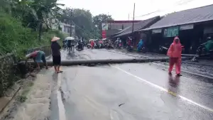 Kondisi tiang listrik yang roboh bersamaan dengan pohon tumbang ruas Jalan Nasional Bagbagan–Kiaradua, Desa Loji, Kecamatan Simpenan, Kabupaten Sukabumi, pada Jumat (5/12/2025) sore (Sumber Foto: Istimewa)