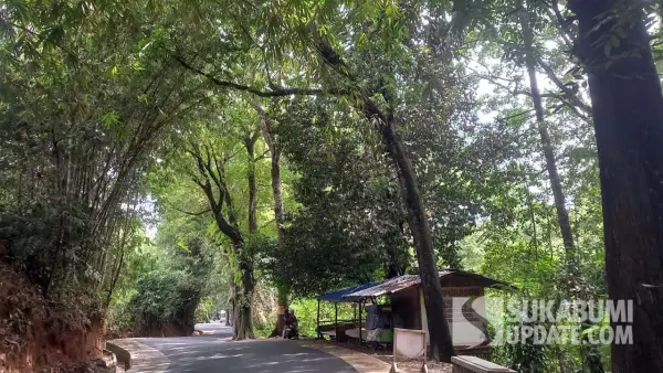 Warung kopi manjakan para pelancong untuk beristirahat di Jalan Jampangtengah-Kiaradua Sukabumi. (Sumber: SU/Ragil Gilang)