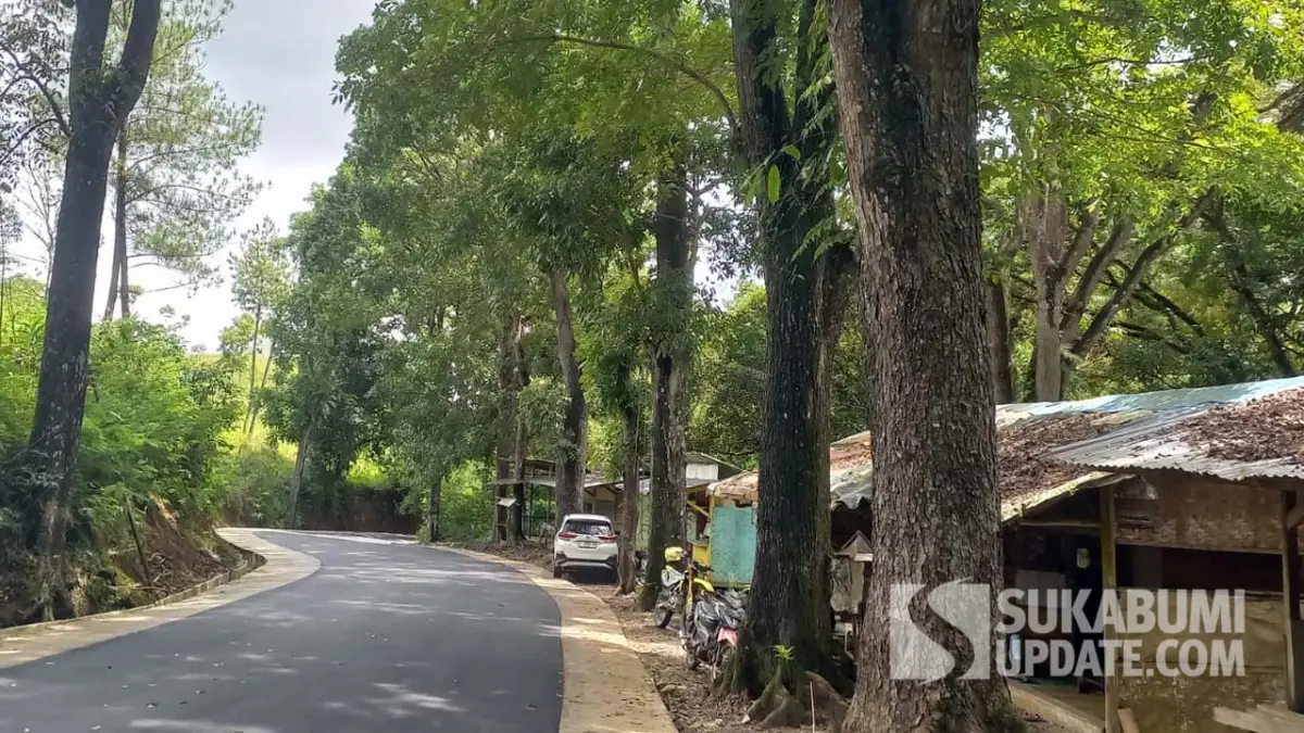 warung kopi tempat istirahat ternyaman bagi para pelancong.