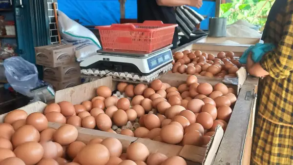 Salah satu pedagang telur di Jalan Haji Anwari, Kecamatan Ciracap, Kabupaten Sukabumi, Selasa (9/12/2025). | Foto: SU/Ragil Gilang