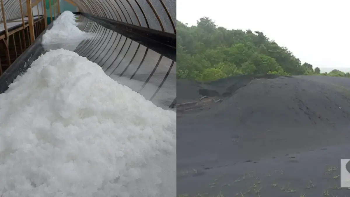 Dari Butiran Garam hingga Pasir Besi: Kekayaan Alam Sukabumi Selatan yang Terabaikan