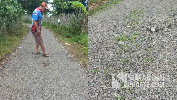 Kondisi ruas jalan lingkungan di Kampung Malimping, Desa Margaluyu, Purabaya Sukabumi, yang baru selesai diaspal sekitar satu pekan lalu namun sudah mengalami kerusakan dan ditumbuhi rumput. (Sumber Foto: Istimewa)
