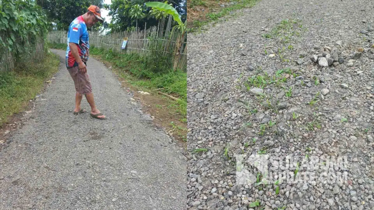 Baru Sepekan Diaspal, Jalan Kampung Malimping Purabaya Sudah Rontok dan Tumbuh Rumput