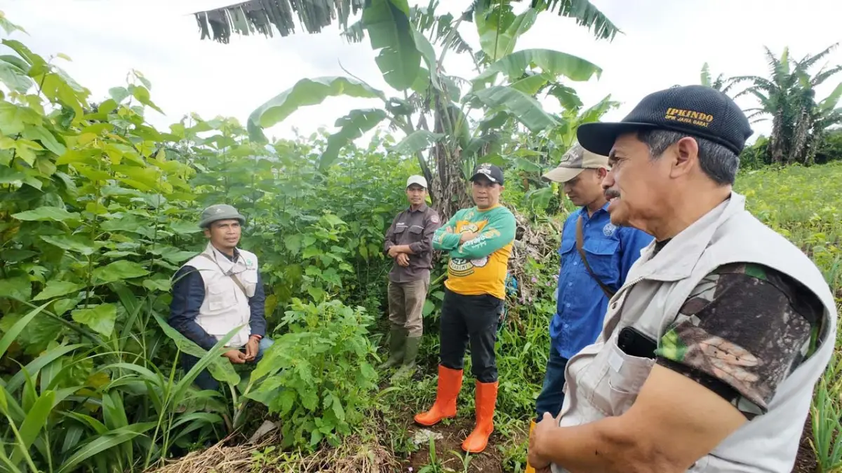 7 Ha Lahan Terbengkalai di Kadudampit Disulap Jadi Kebun Murbei Berbasis Konservasi