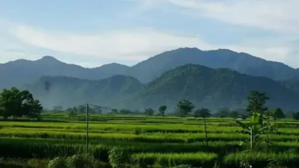 Gunung Sanggabuana Karawang diusulkan jadi kawasan konservasi oleh Kementerian Kehutanan. (Sumber Foto: Istimewa)