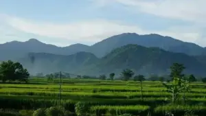 Gunung Sanggabuana Karawang diusulkan jadi kawasan konservasi oleh Kementerian Kehutanan. (Sumber Foto: Istimewa)