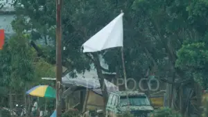Pemasangan bendera putih di jalan lintas Sumatera sejak rabu malam, 10 Desember 2025, menjadi simbol masyarakat menyerah dan tidak sanggup mengatasi dampak bencana | Foto : Tempo/Ilham Balindra