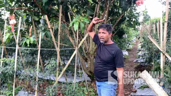 Ketua Harian Perkumpulan Petani Penggarap Bagja Sutra, MG Lumintang. (Sumber Foto: Dok. SU)