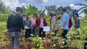 Aksi penanaman pohon di Desa Berekah, Kecamatan Bojonggenteng, Kabupaten Sukabumi | Foto : Dok. NPU
