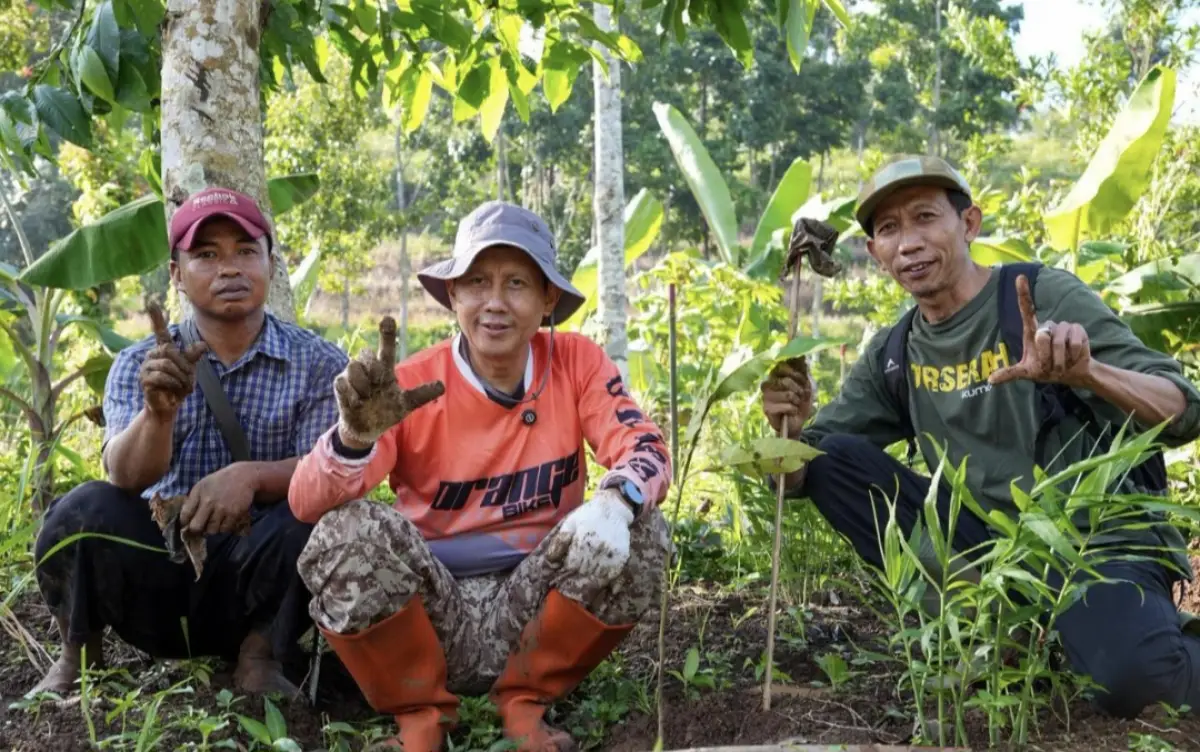 Jaga Paru-Paru Sukabumi, Slamet dan Petani Tanam 30 Ribu Pohon di Penyangga TNGGP