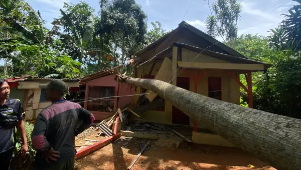 Pohon tumbang timpa rumah warga Sagaranten Sukabumi. Jumat (26/12/2025). (Sumber: Istimewa)