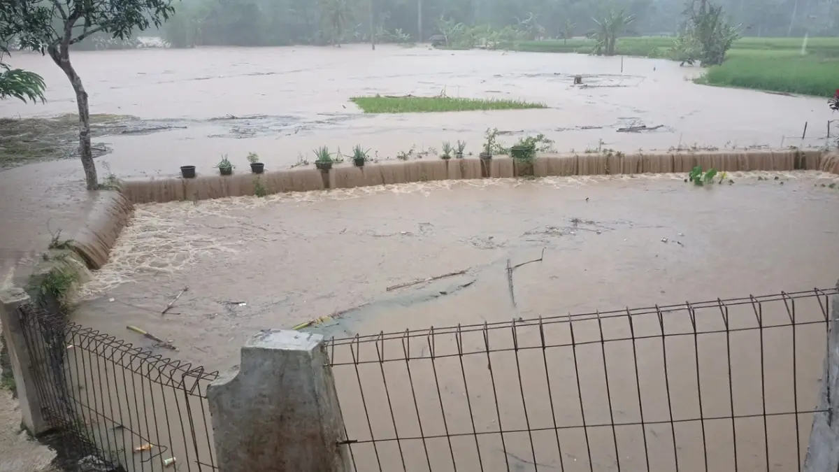Sungai Cimerang Sukabumi Meluap: 14 Ekor Domba-Kambing Hanyut, Satu Keluarga Mengungsi