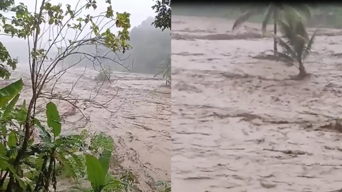 Sungai Cicadas Nyalindung Ngamuk, Jembatan Putus dan Satu Warga Terjebak di Pohon Kelapa