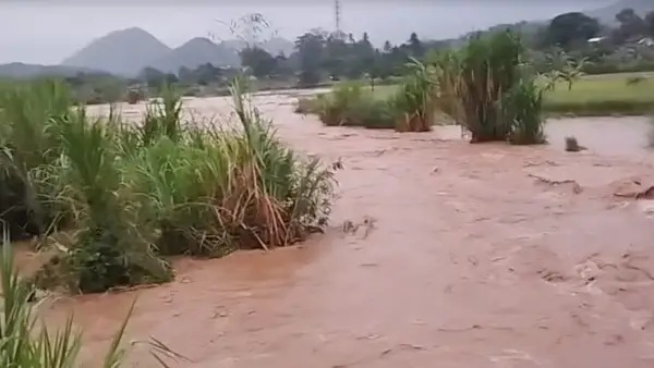 Luapan Sungai Cimandiri merendam sebagian sawah di Gegerbitung, Kabupateng Sukabumi  | Foto : Dok. P2BK