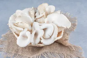 Jamur tiram, sayuran yang banyak dijumpai di indonesia (Sumber : freepik/@azerbaijan_stockers)