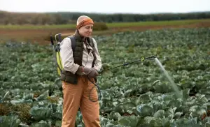 Ilustrasi. membasmi hama tanaman dengan pestisida (Sumber : Freepik)