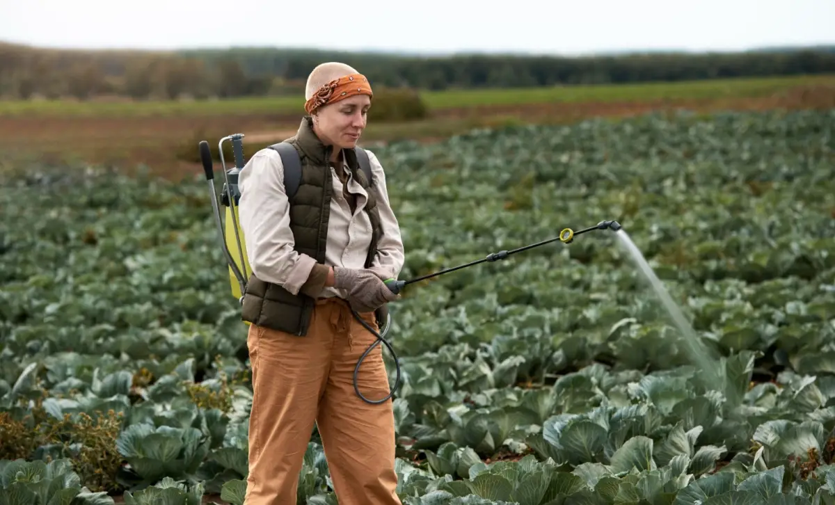 Hati-Hati! Bahaya dan Dampak Pestisida Jika Ikut Termakan