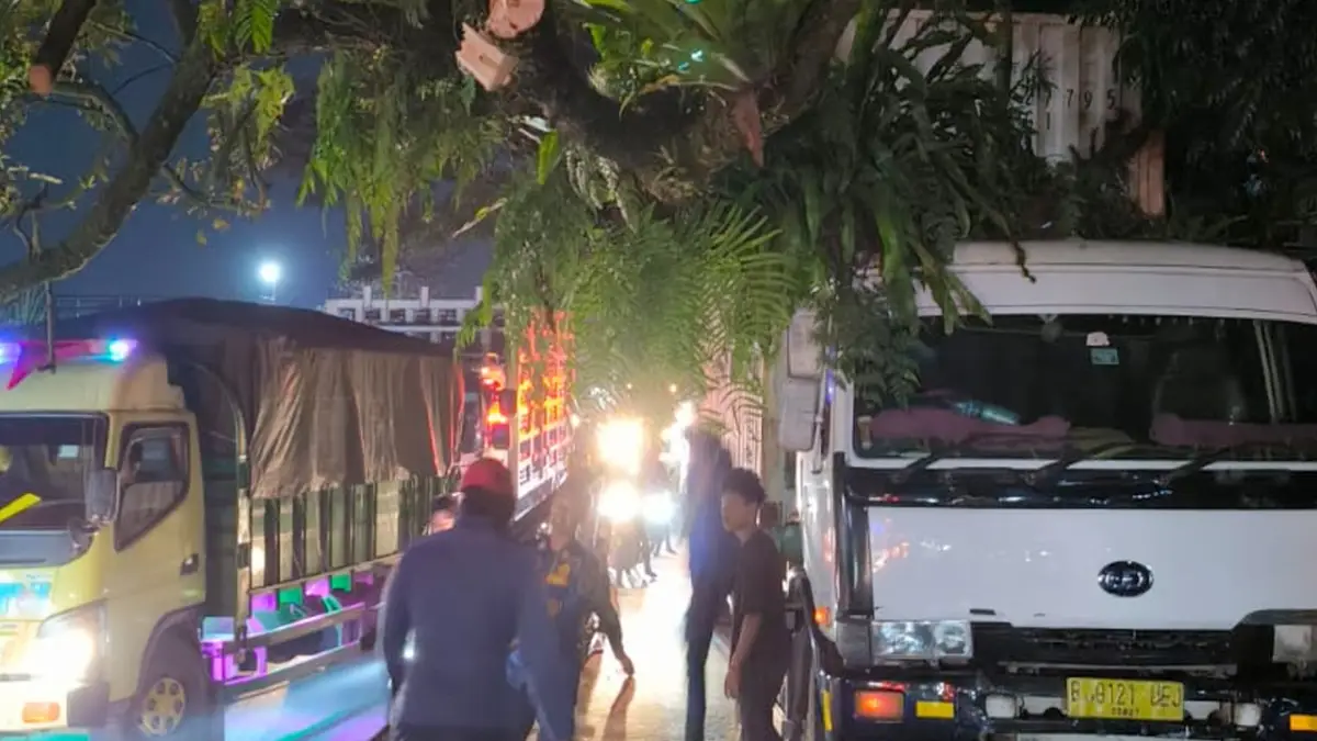 Pohon Tumbang Timpa Truk Kontainer di Jalan Nasional Sukabumi-Bogor