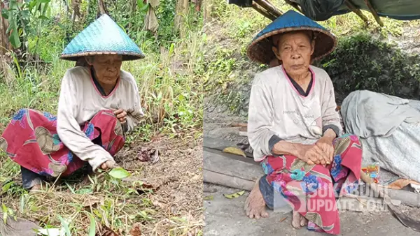 Mak Marsinah petani asal Kampung Puncakjengkol, Desa Tegalbuleud, Kabupaten Sukabumi saat sedang bekerja di huma. (Sumber : SU/Ragil Gilang).