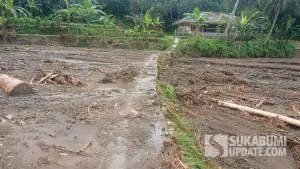 Sawah milik warga pasca dilanda banjir di Desa Sukamaju, Kecamatan Nyalindung, Kabupaten Sukabumi | Foto : Ragil Gilang