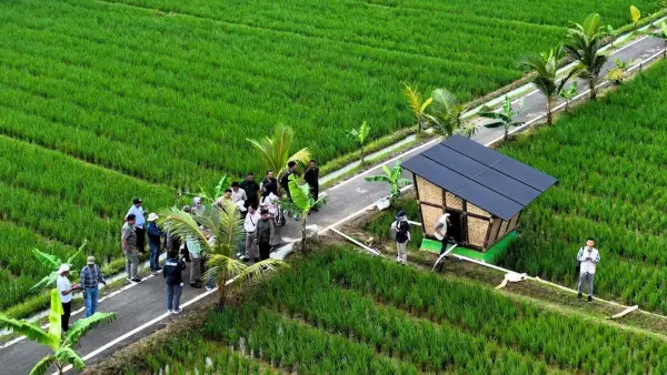 Distanhorti Jabar melaksanakan Monev Irigasi Perpompaan Tenaga Surya di Desa Sukasari, Kecamatan Dawuan, Kabupaten Subang, Selasa (13/1/2026). (Sumber Foto: IG Distanhorti Jabar)