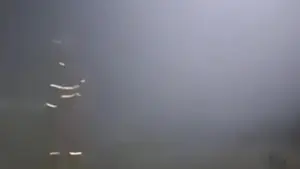 Tangkapan layar video viral yang menarasikan adanya pekerja terjebak asap tebal akibat ledakan di area tambang emas PT Antam Nanggung Bogor. (Sumber Foto: Istimewa)