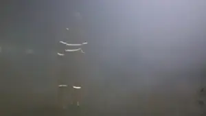 Tangkapan layar video viral yang menarasikan adanya pekerja terjebak asap tebal akibat ledakan di area tambang emas PT Antam Nanggung Bogor. (Sumber : Istimewa)