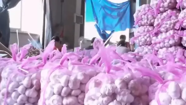 Bawang putih | Foto : Youtube West Edukasi