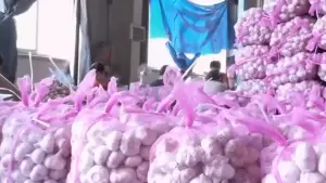 Bawang putih | Foto : Youtube West Edukasi