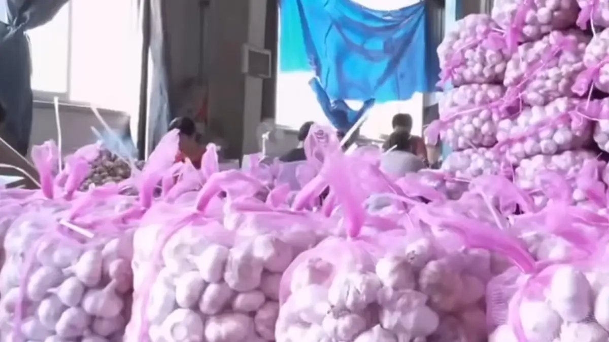 Pekan Kedua Januari, Harga Bawang Putih di Sukabumi Naik 5,71 Persen