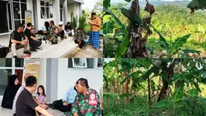 Kolase foto dokumentasi survei calon lahan relokasi warga terdampak bencana pergerakan tanah di Palabuhanratu. (Sumber Foto: IG Disperkim Kabupaten Sukabumi)