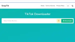 Tangkapan layar web Snaptik TikTok Downloader. (Sumber Foto: snaptik.gd)