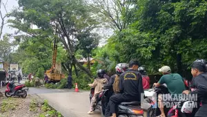 Disperkim bantu penanganan pohon rawan tumbang di Palabuhanratu Sukabumi. (Sumber: sukabumiupdate)