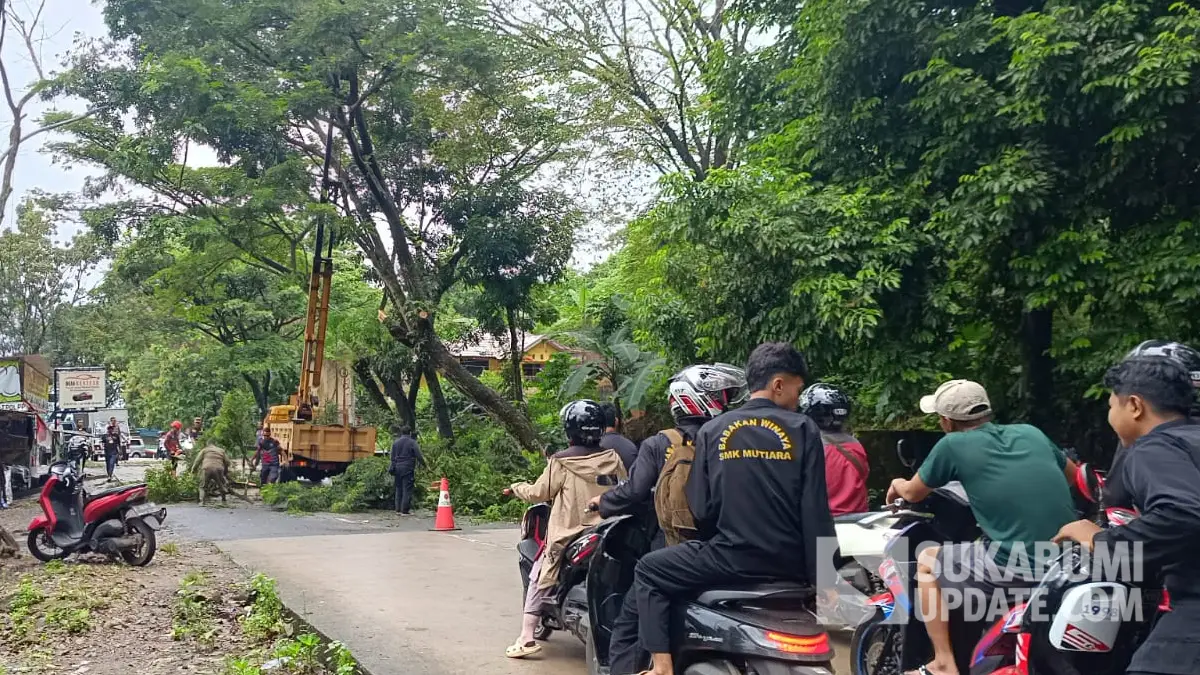 Disperkim Pangkas Pohon Rawan Tumbang di Kawasan Palabuhanratu Sukabumi