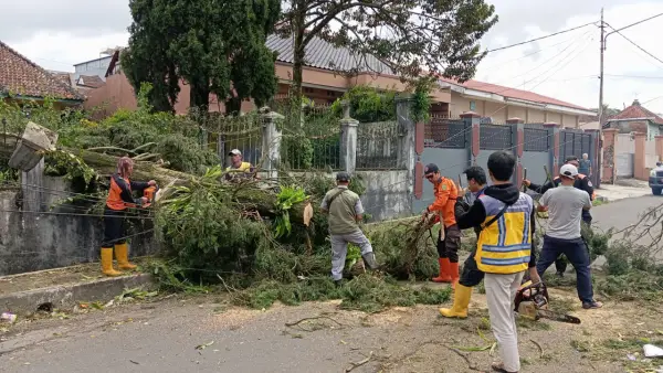 Petugas saat evakuasi pohon tumbang di Nyomplong, Kecamatan Warudoyong, Kota Sukabumi. (Sumber: Istimewa)