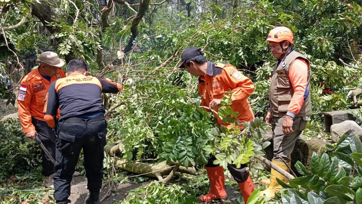 Cuaca Buruk Picu Pohon Tumbang dan Longsor di Tiga Titik Kota Sukabumi