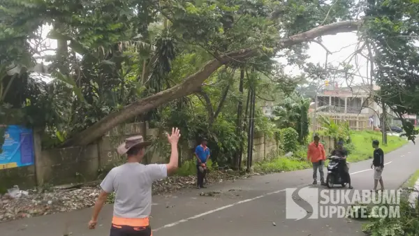 Pohon besar yang tumbang melintang di Jalan Sudajaya Hilir, Citamiang, Kota Sukabumi. (Sumber: SU/Farhan)