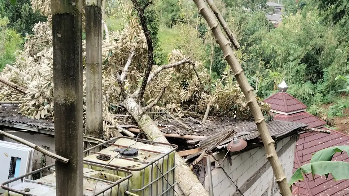 Angin Kencang di Cicurug, Pohon Tumbang Timpa Atap Ponpes dan Rusak Rumah Warga