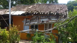 Pohon pete tumbang timpa rumah warga di Curugkembar, Kabupaten Sukabumi | Foto : P2BK Curugkembar