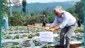 Kepala Distanhorti Jabar Dadan Hidayat saat menamam bibit alpukat pada lahan konservasi DAS Citarum, tepatnya di lokasi program teras bangku, Desa Mekarmanik, Cimenyan Bandung, Jumat (25/4/2025). (Foto: IG Distanhorti Jabar)